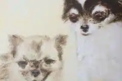 Djoy-and-Djilzz-Sandra