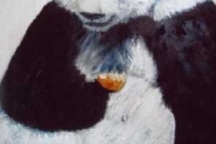 panda_4cbc51366ea7e