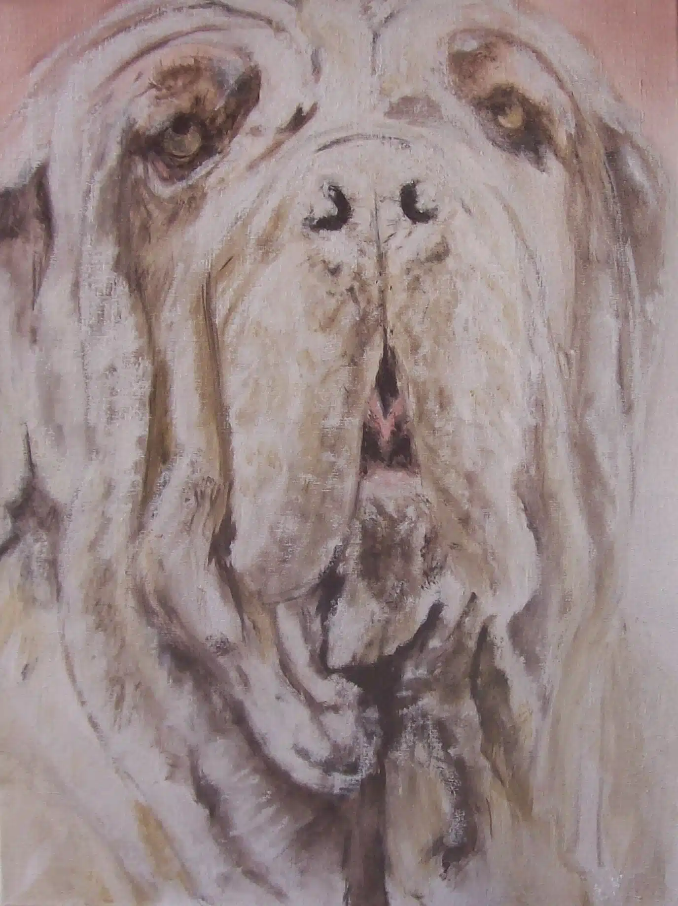 Mastino Napolitano - Afbeelding 2