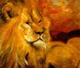 Eline Hoogkamer: Prachtige schilderijen voor iedereen