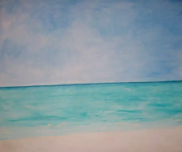 Indische Oceaan 1 - Afbeelding 2