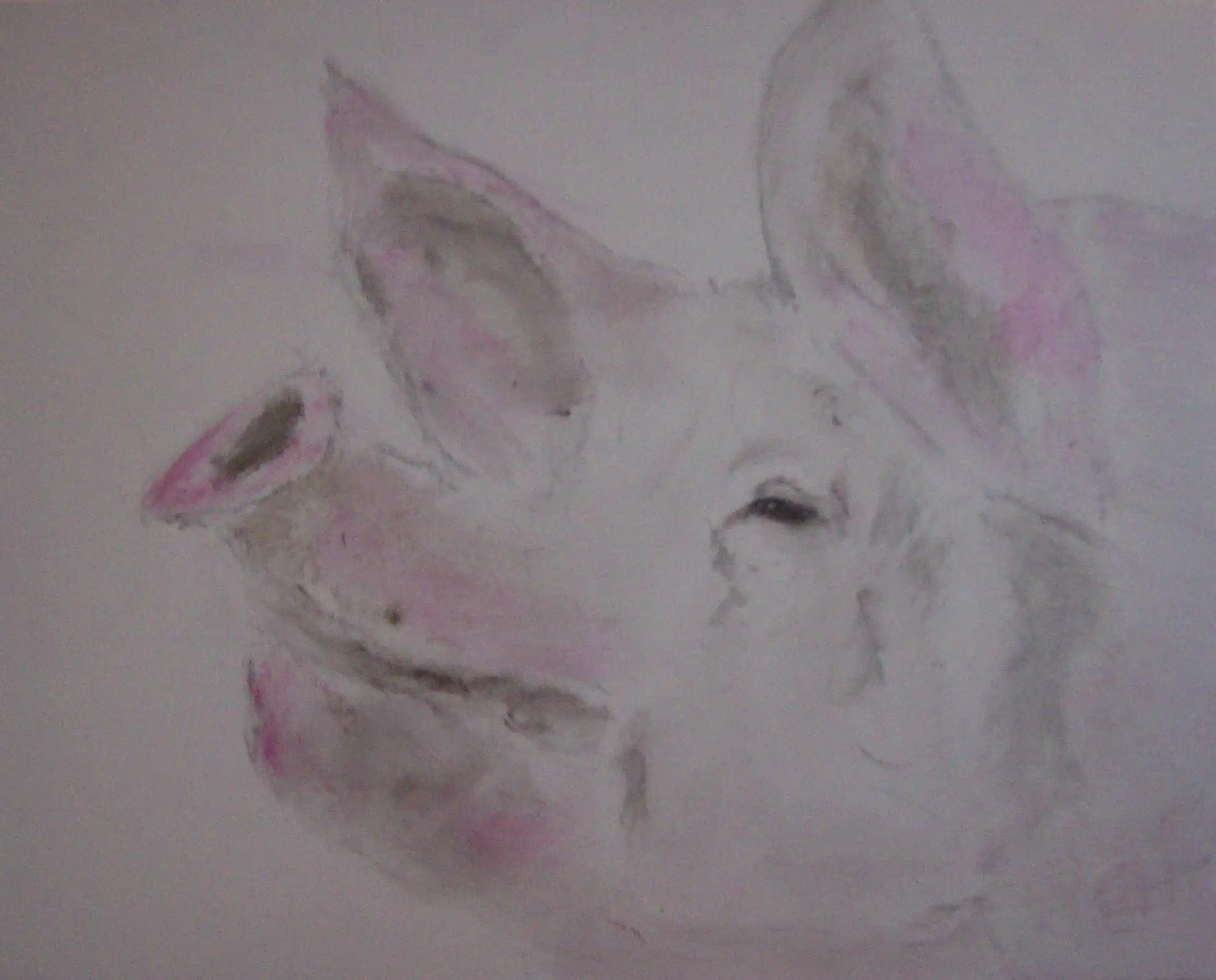 Varkentje 2 - Afbeelding 2